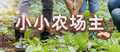 【大鹏 1 天】亲子活动之小小农场主，遇见田野童心
